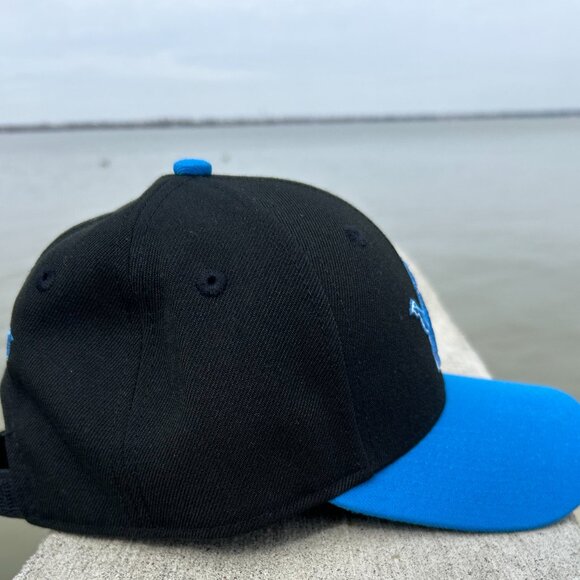 Detroit Lions NFL 9Forty New Era Snap Back Hat Youth - Picture 4 of 7